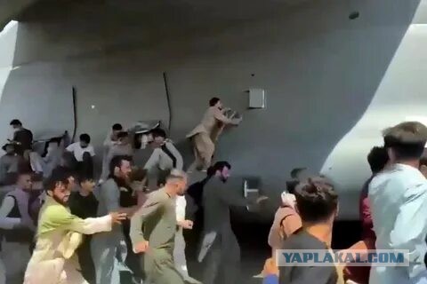 Из критиков Трампа в напарники – что известно о 39-летнем кандидате в вице-президенты США Джей-Ди Вэнсе