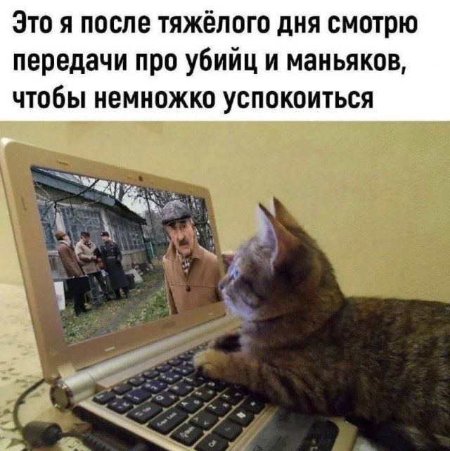 Так себе картинки 05.08.24