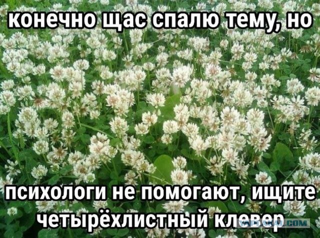 Забавные картинки, шутки из этих ваших интернетов