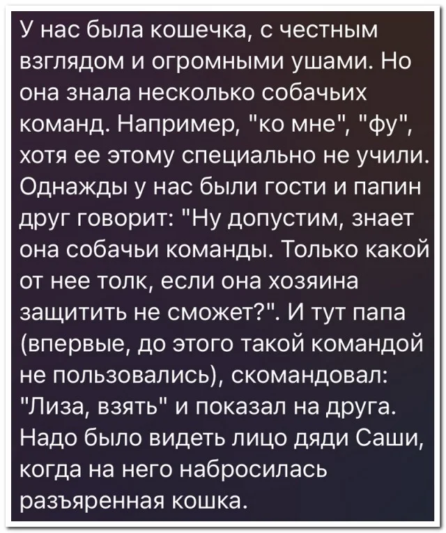 Забавные комментарии, которые как острый соус приправляют сам пост