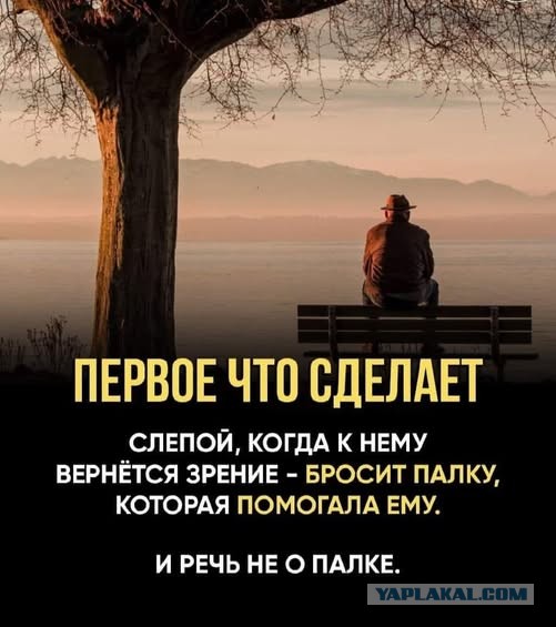 Картинки для деградации 79 (разной степени свежести)