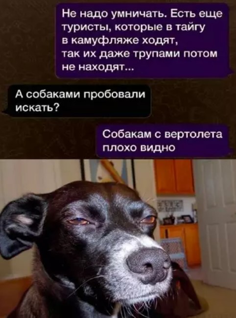 Картиночки, баянчики 18 марта