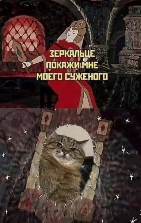 Котямбосы