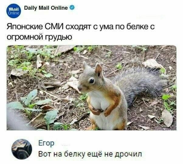 Картинки для деградации 188 (разной степени свежести)