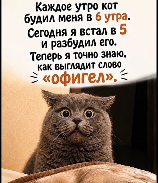 Веселые картинки в понедельник (13.07)
