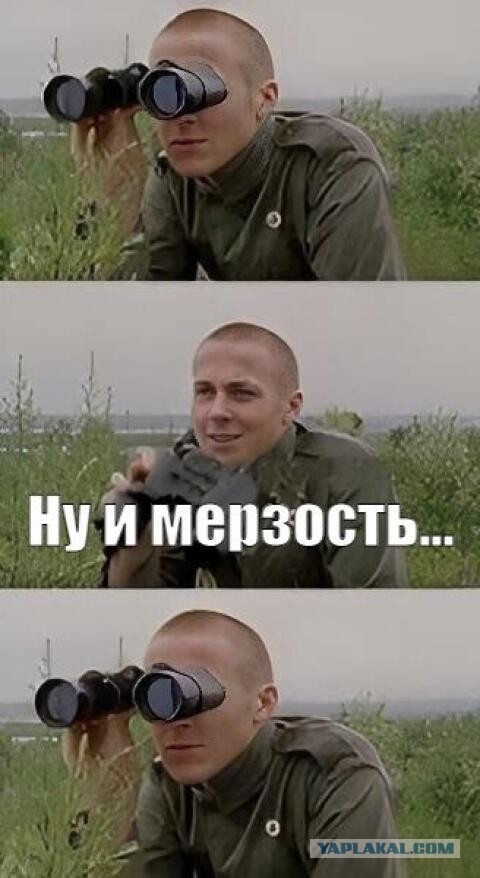 Вареничная. Brittany Bardot: курага - это бывший абрикосик.