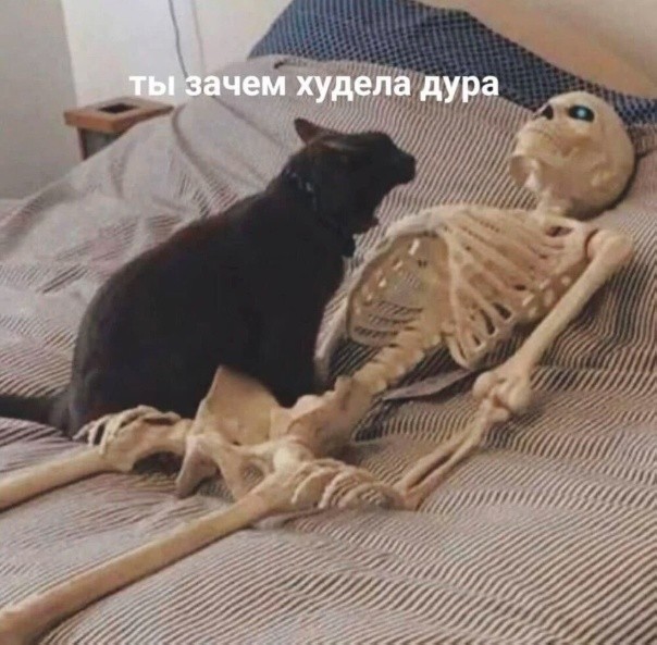 Так себе картинки 07.09.26