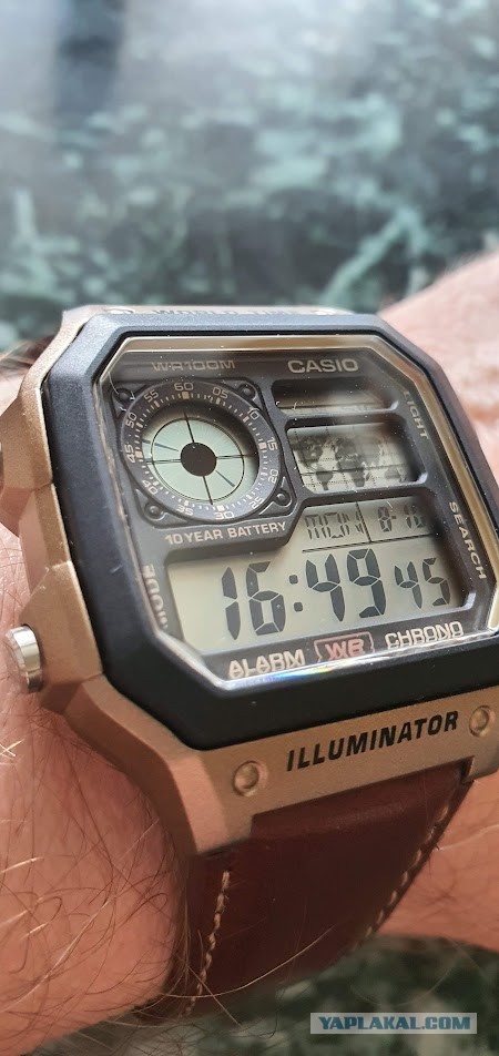 Феномен Casio F-91W.