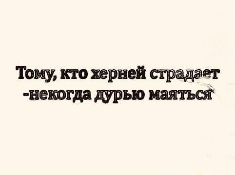 Картинки для деградации 302 (разной степени свежести)