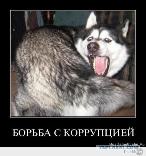 14 лет назад Путин пришел к власти