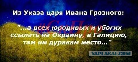 3,14зданутая семейка..