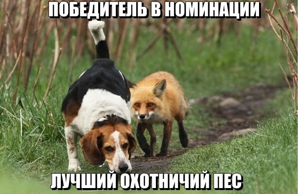 Смешные комментарии из социальных сетей 04.08.14