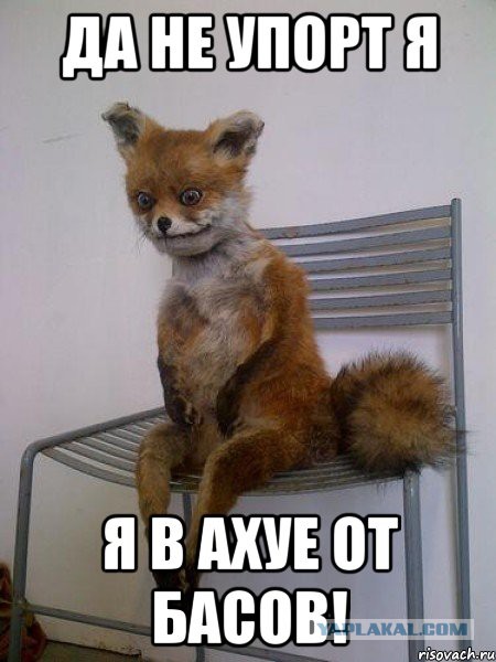 Крутость зашкаливает