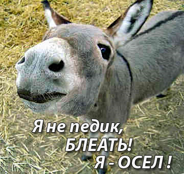 Разошлись во мнениях