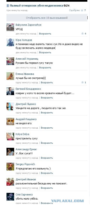 Сволочи забили медвежонка трубой