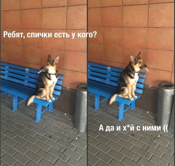 Немного позитива на пятницу