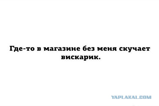 Немного позитива на пятницу