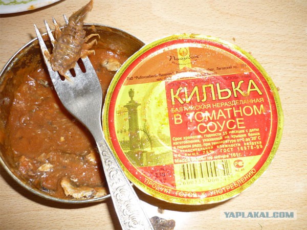 Сардинка-сардинка-сардинка моя