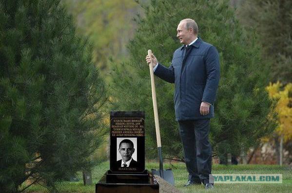 Смешные комментарии из социальных сетей 11.11.2014