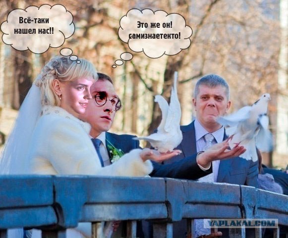 Птичку жалко...