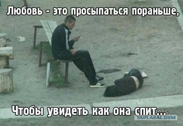 Веселые картинки