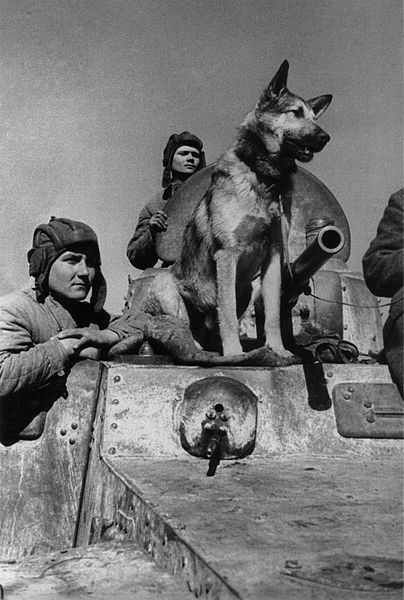Фотографии второй мировой, многие цветные (фото)