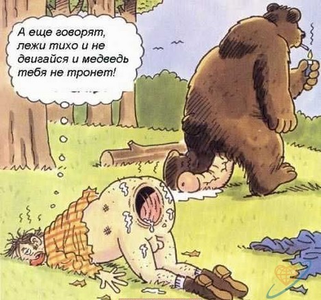 Как я снимаю фотоловушкой?