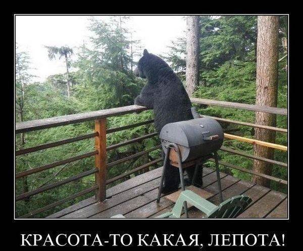 К заповедным озерам и долинам Архыза