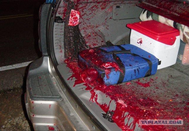 Меня зовут Санек