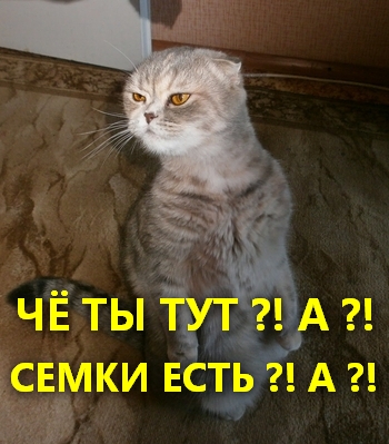 Wargaming 19