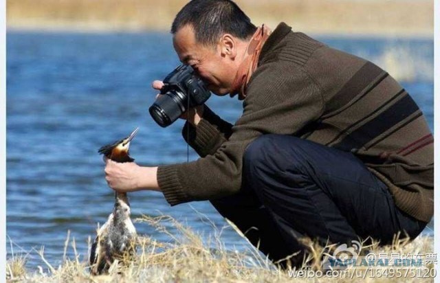 На что готовы фотографы ради удачного кадра