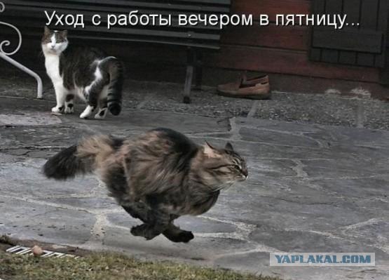 Пятница мчится на всех парах!