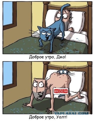 Котовторнику посвящается.