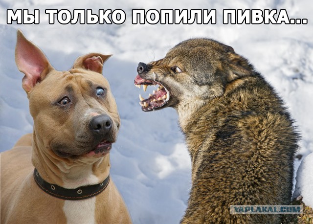 Дорогая, может обойдёмся без скандала ?