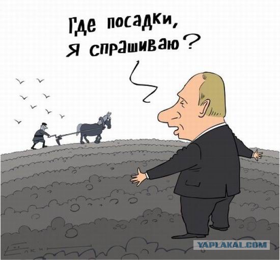 Почему утонул Сочи