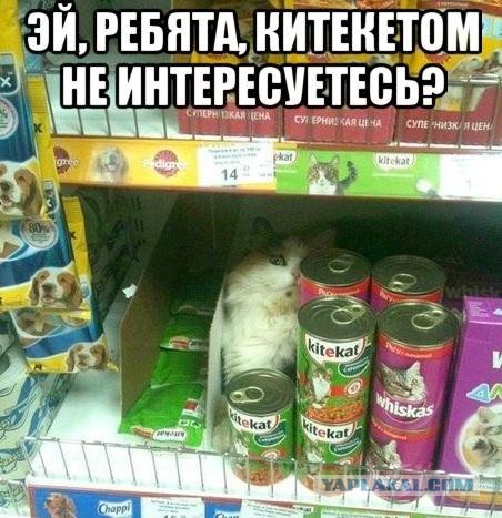 Новая порция из соцсетей