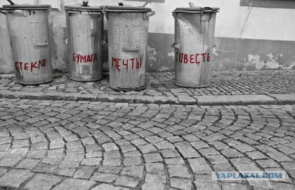 Прикольные картинки и демотиваторы