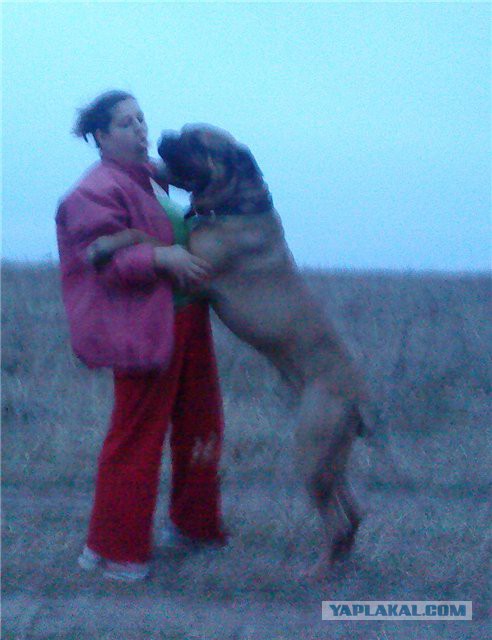 Стоять бояться! Стою... боюсь.