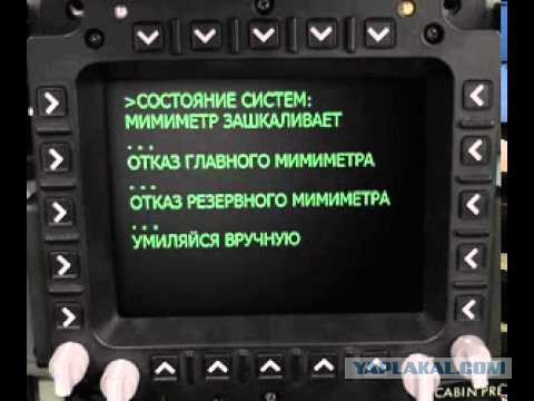 Невероятные научные факты, которые растопят ваше сердце