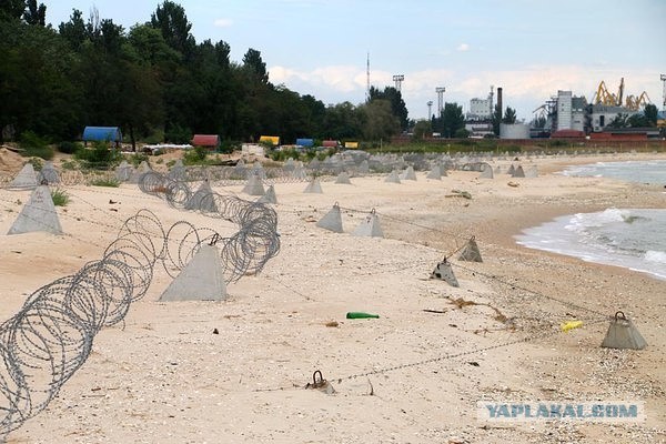 Какие набережные в вашем городе?