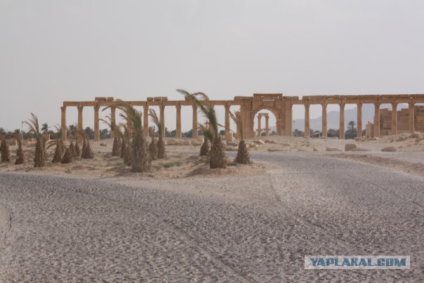 До и после ИГИЛ