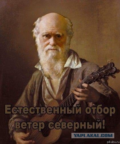 Два человека погибли в гонке стритрейсеров в Шушарах