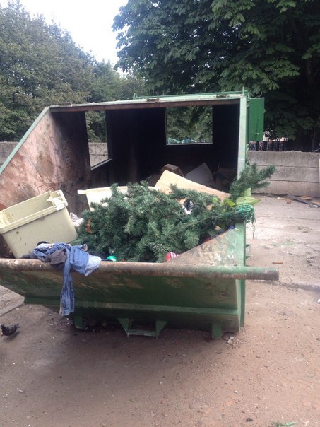 Картинки и приколы из сети