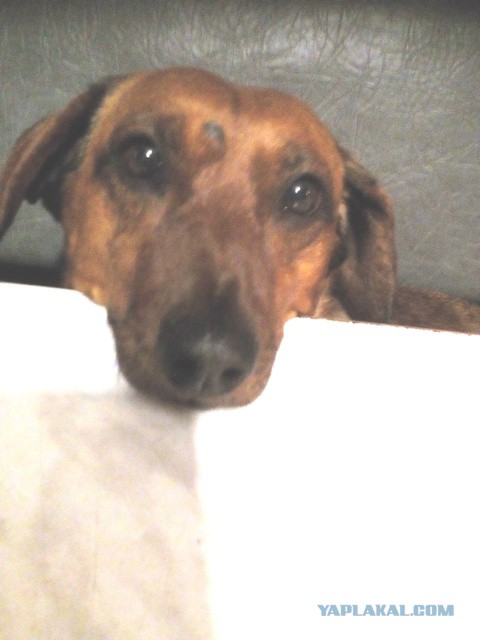 Я жду тебя за Радугой