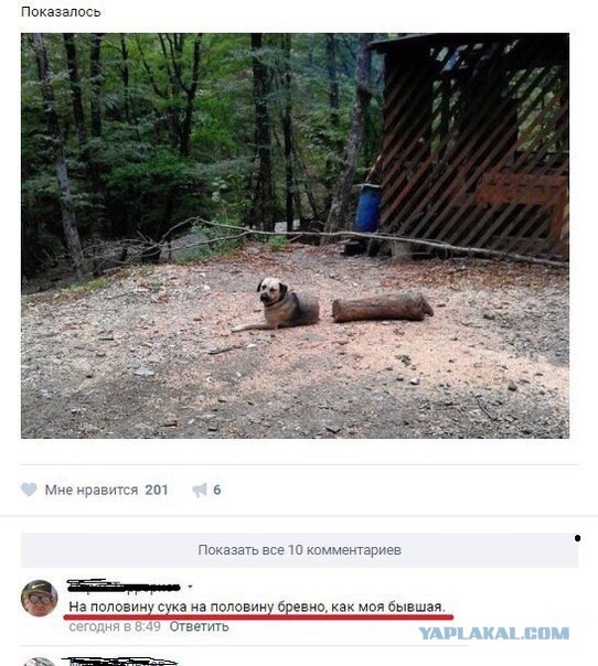 9579783.jpg
