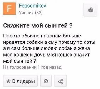 Субботняя порция перлов, высказываний, котоламповых историй