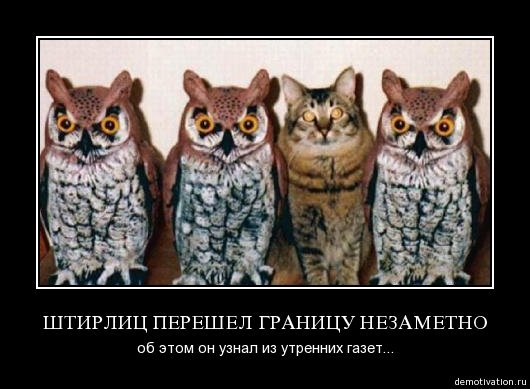 КотЭ. Пародия на сову.