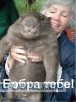 О том, как я попала в дом к хозяину.