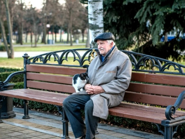 Кошка полюбила и решила