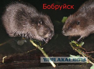 Поиграем в города?!